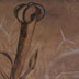 Tulip Stamen
